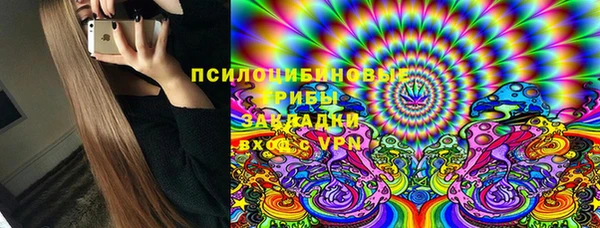 сатива Волоколамск
