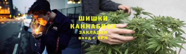 сатива Волоколамск