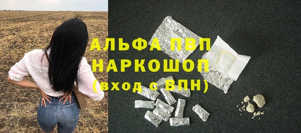 сатива Волоколамск