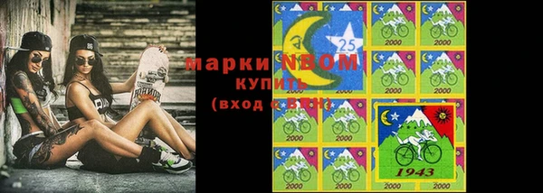 сатива Волоколамск