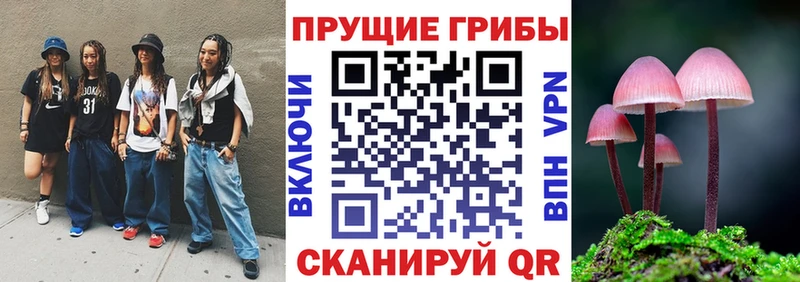 Галлюциногенные грибы Cubensis  купить наркотики цена  Исилькуль 